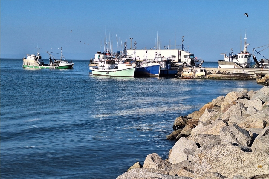 0 Bedroom Property for Sale in Da Gama Bay Western Cape